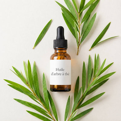 Huile d'Arbre à Thé Microencapsulée